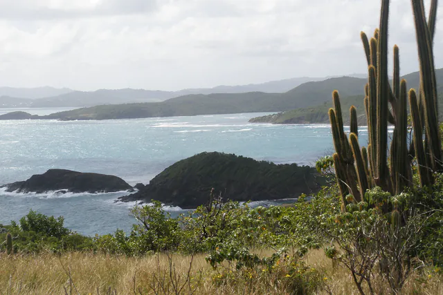 Littoral atlantique de la presqu’île de la Caravelle