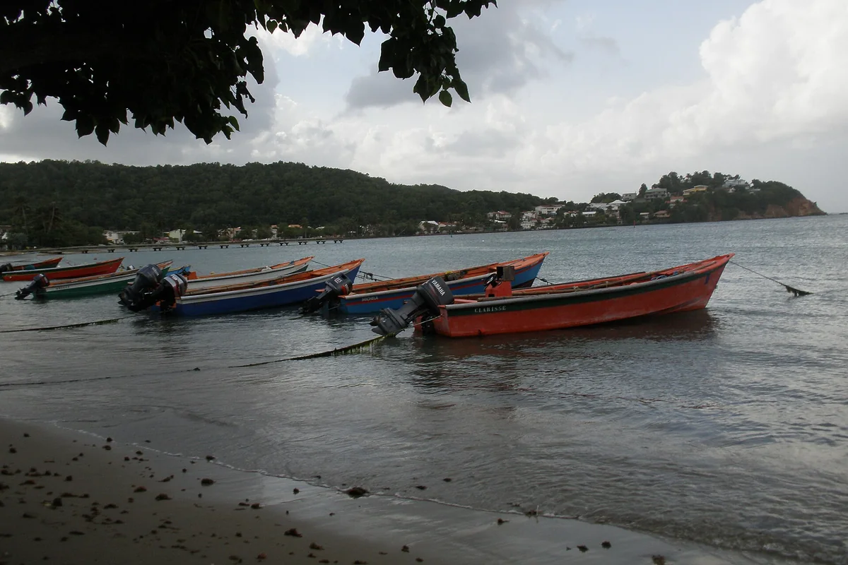Barques de pêche colorées alignées sur la plage de Tartane en Martinique
