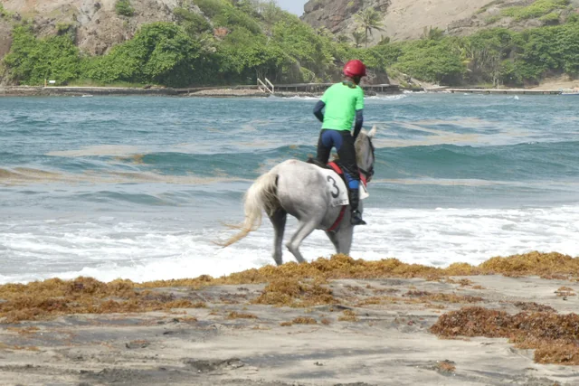Cavalier et cheval au bord de la mer à Sainte-Marie