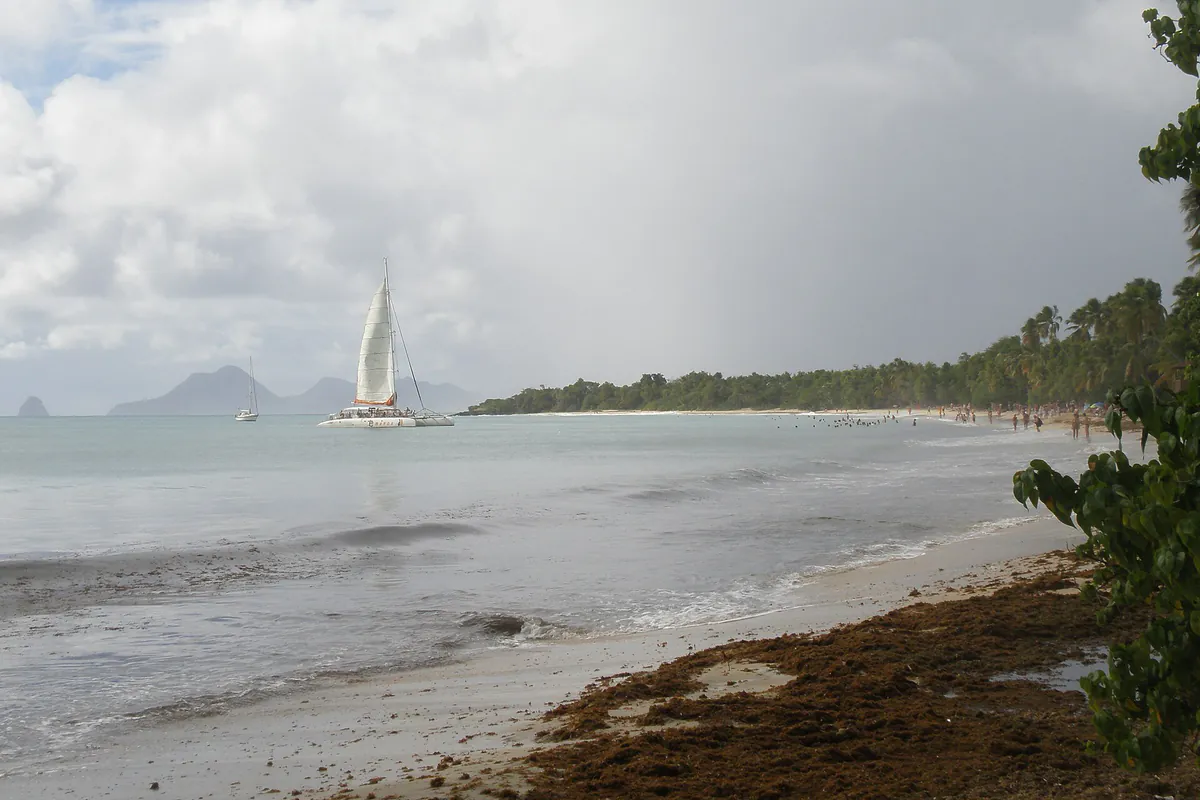Sable clair, cocotiers et eau turquoise à la Grande Anse des Salines en Martinique