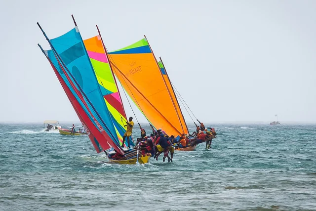 Yoles rondes colorées naviguant au large de la Martinique